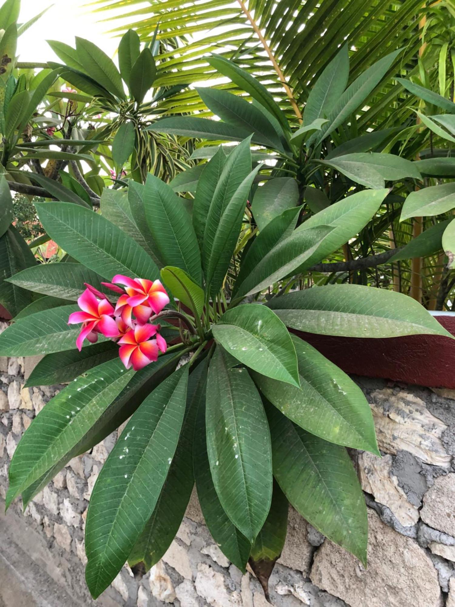 Maha Di Nusa Lembongan Экстерьер фото